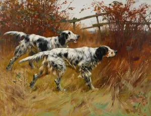 English Setters by Thomas Blinks Oil Painting