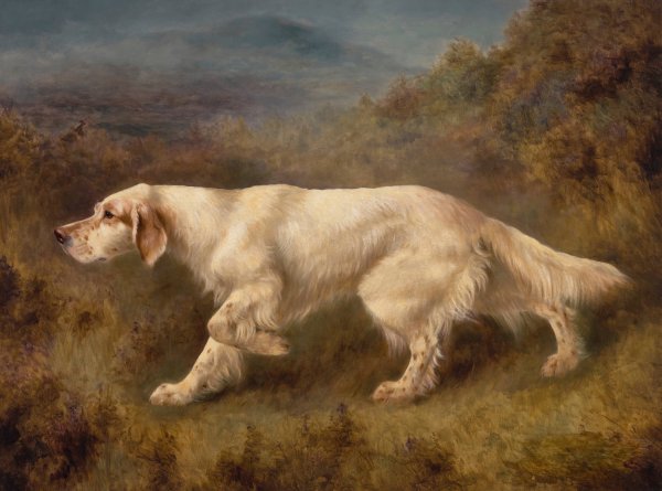 Main Product Photo of Mallwyd Ned Painting by Thomas Blinks