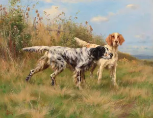 Two English Setters by Thomas Blinks Oil Painting