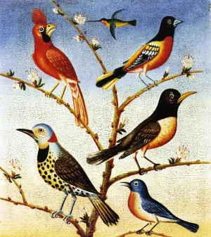 Humming Bird, Red Bird, Baltimore Bird, Robbin, Flicker, Blue Bird Oil painting by Thomas Coke Ruckle