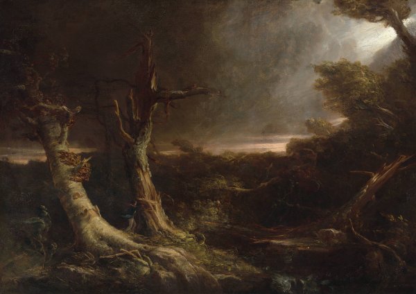 Main Product Photo of Tornado in an American Forest  Painting by Thomas Cole
