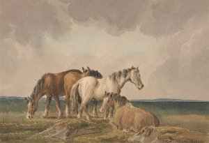 Four Ponies on a Welsh Moor by Thomas Creswick Oil Painting