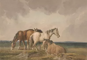 Four Ponies on a Welsh Moor by Thomas Creswick Oil Painting