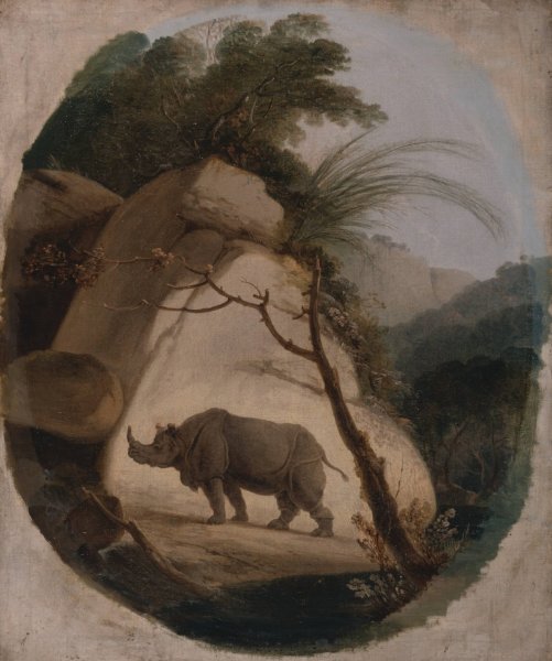 Main Product Photo of The Indian Rhinoceros  Painting by Thomas Daniell
