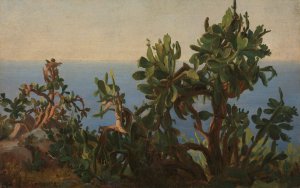 Cactus by Thomas Fearnley Oil Painting