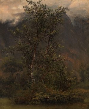 Study of Birches in Romsdal by Thomas Fearnley Oil Painting