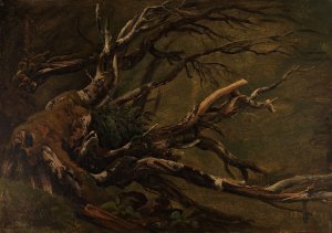Study of decaying Tree by Thomas Fearnley Oil Painting