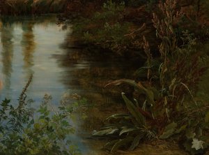 Study of Water and Plants by Thomas Fearnley Oil Painting