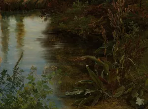 Study of Water and Plants by Thomas Fearnley Oil Painting