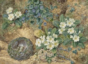 Stilleven van een vogelnestje, viooltjes, primula's en appelbloesem by Thomas Frederick Collier Oil Painting