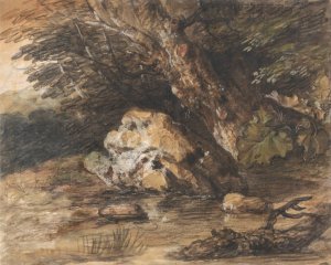 A Woodland Pool with Rocks and Plants by Thomas Gainsborough Oil Painting