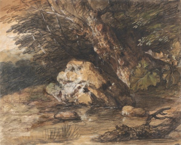 A Woodland Pool with Rocks and Plants by Thomas Gainsborough - Hand-Painted Oil Painting Reproduction