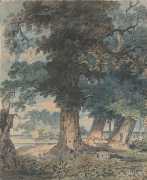 Deer in Windsor Forest by Thomas Girtin Oil Painting
