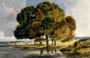Trees on a Riverbank Oil painting by Thomas Girtin