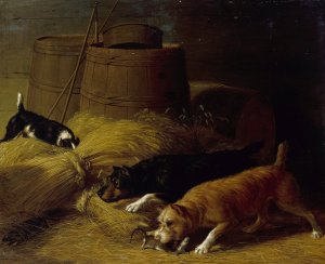 Rats amongst the Barley Sheaves by Thomas Hewes Hinckley Oil Painting