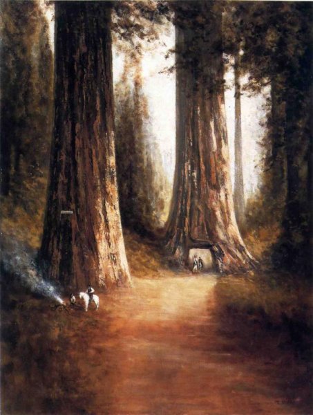 Sequoia Gigantea by Thomas Hill - Hand-Painted Oil Painting Reproduction