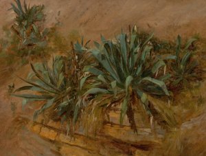 Study of Plants on a Rocky Wall by Thomas Hiram Hotchkiss Oil Painting