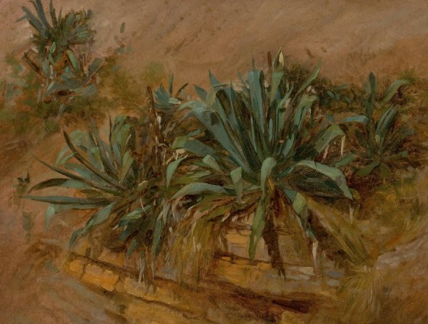 Main Product Photo of Study of Plants on a Rocky Wall Painting by Thomas Hiram Hotchkiss