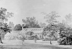 Greenhouse, David Hosack Estate, Hyde Park, New York from Hoasack Album Oil painting by Thomas Kelah Wharton