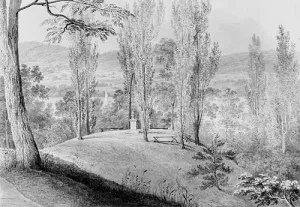 Grove of Poplars with a Memorial Bust, David Hosack Estate, Hype Park, New York from Hosack Album Oil painting by Thomas Kelah Wharton