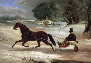 Judge Van Aernum in His Sleigh