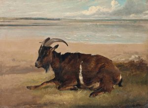 A Goat By The Shore, Margate by Thomas Sidney Cooper Oil Painting