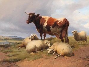 Cattle and sheep in a meadow in a vast landscape Oil painting by Thomas Sidney Cooper