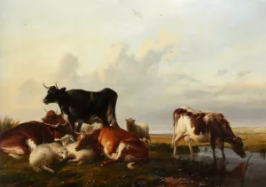 Cattle and Sheep Probably in Canterbury Meadows by Thomas Sidney Cooper - Oil Painting Reproduction