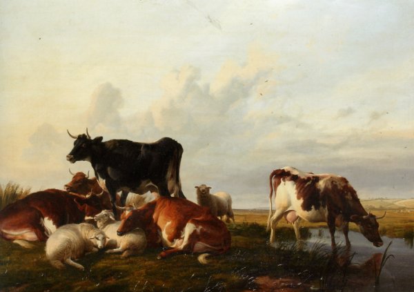 Cattle and Sheep Probably in Canterbury Meadows by Thomas Sidney Cooper - Hand-Painted Oil Painting Reproduction