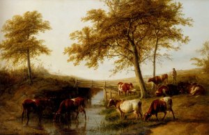Cattle Resting By A Brook