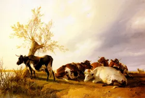 Dairy Cows Resting by Thomas Sidney Cooper Oil Painting