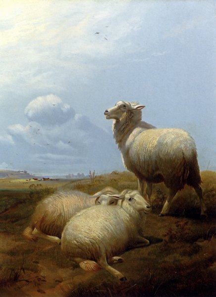 Main Product Photo of Sheep at Pasture Painting by Thomas Sidney Cooper