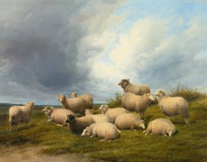 Sheep In A Pasture by Thomas Sidney Cooper Oil Painting