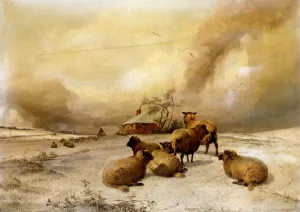 Sheep In A Winter Landscape painting by Thomas Sidney Cooper