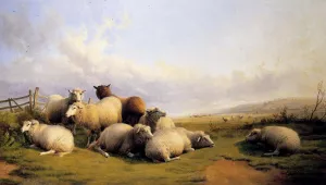 Sheep In An Extensive Landscape by Thomas Sidney Cooper Oil Painting