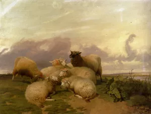Sheep In Canterbury Water Meadows by Thomas Sidney Cooper - Oil Painting Reproduction