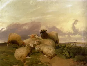 Sheep In Canterbury Water Meadows Oil painting by Thomas Sidney Cooper