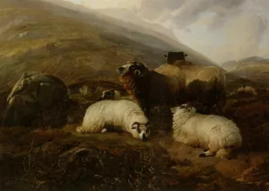Sheep in the Highlands by Thomas Sidney Cooper - Oil Painting Reproduction