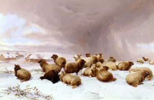 Sheep In Winter by Thomas Sidney Cooper - Oil Painting Reproduction