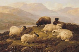 Sheep Resting In A Highland Landscape by Thomas Sidney Cooper Oil Painting