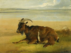 The Lone Mourner Oil painting by Thomas Sidney Cooper