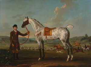 Scipio, a spotted hunter, the property of Colonel Roche by Thomas Spencer Oil Painting