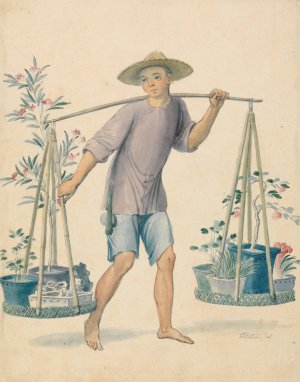 Chinese Flower Seller by Thomas Stothard Oil Painting