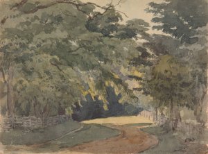 Tree-lined Lane by Thomas Sully Oil Painting
