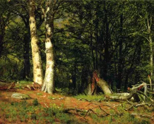 Fallen Birch by Thomas Worthington Whittredge - Oil Painting Reproduction