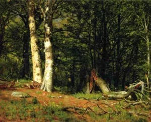 Fallen Birch Oil painting by Thomas Worthington Whittredge
