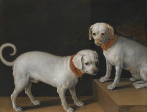 Two dogs with red collars by Tiberio Titi Oil Painting