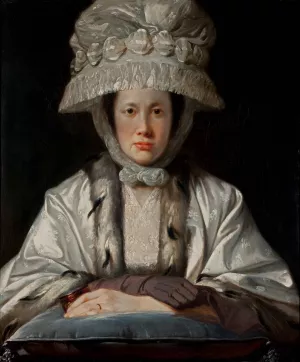 Portrait of Anne Howard-Vyse by Tilly Kettle Oil Painting