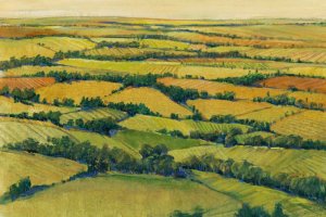 A View Above I Oil painting by Tim O'Toole