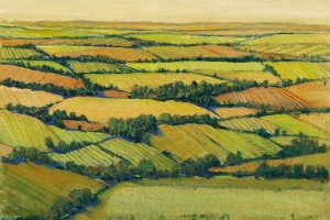A View Above II Oil painting by Tim O'Toole